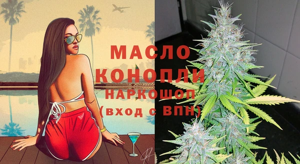 mix Бородино