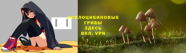 mix Бородино