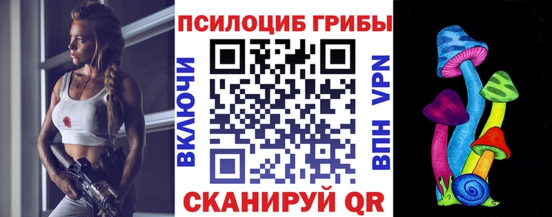 Псилоцибиновые грибы мицелий  Купить  Певек 